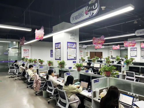 揚州天貓國際自營服務中心迎咨詢高峰，300名大學生支援客服工作